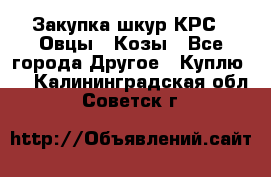 Закупка шкур КРС , Овцы , Козы - Все города Другое » Куплю   . Калининградская обл.,Советск г.